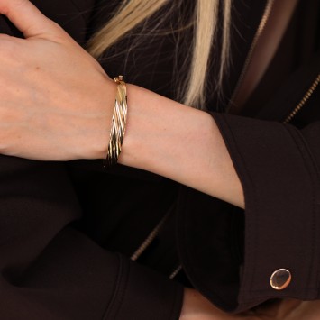 Vion Altın Kelepçe