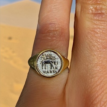 Zefiro İmpera Koleksiyonu Elephas Altın Yüzük