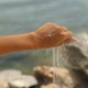 Günce Seastar Şahmeran