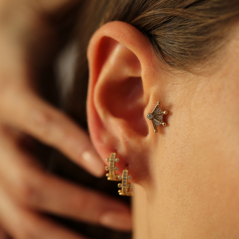 Bat Tragus